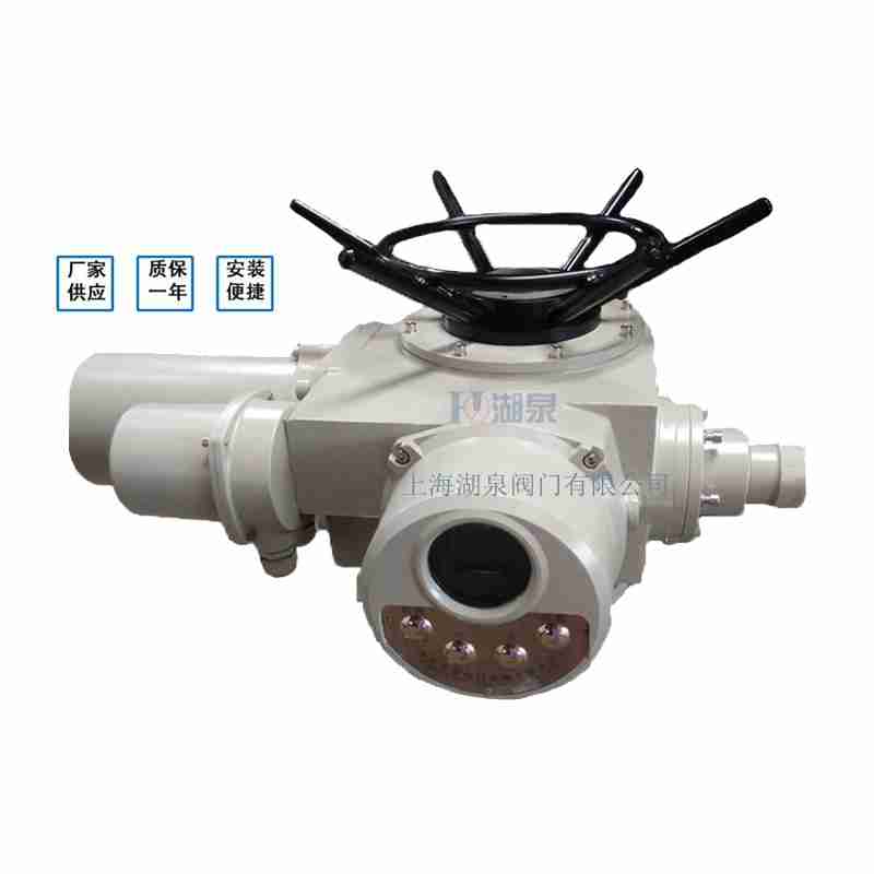 电动闸阀DZW30-18W执行器(厂家哪家好)