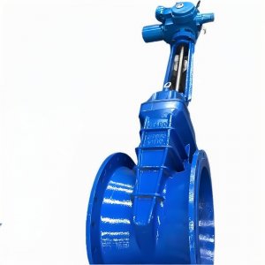 上海彩神购彩购彩大厅dn350沟槽电动明杆闸阀生产厂家