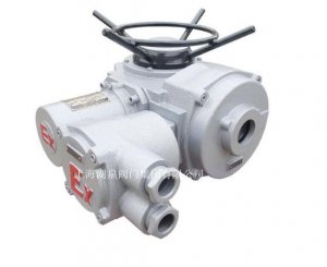 物联网ZB90-24(380)推力型阀门电动装置