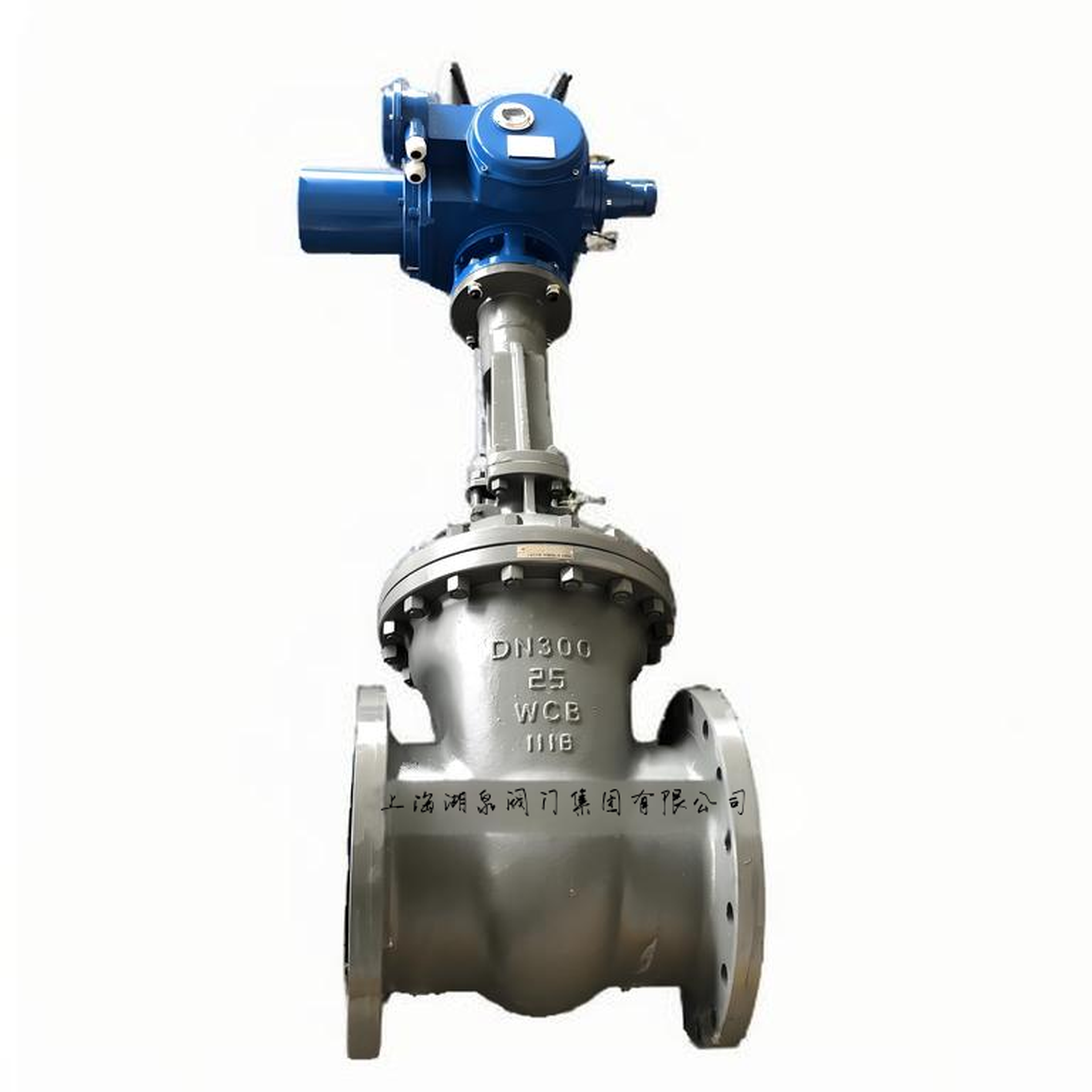 电动闸阀Z941H-16C DN150带法兰垫片紧固件