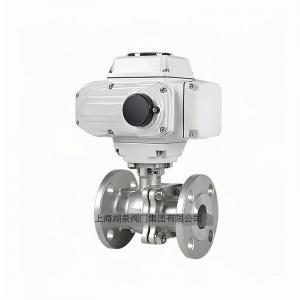 上海彩神购彩购彩大厅Q941F-10 DN65智能一体型电动球阀
