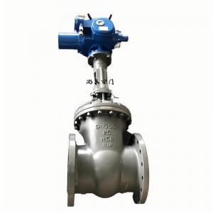 Z941W-25P DN150法兰不锈钢电动闸阀厂家