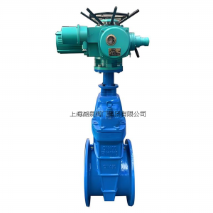 上海彩神购彩购彩大厅Z945X-10/16Q  DN700电动弹性座封闸阀