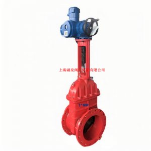 Z943F/W/Y-16 DN80油田专用电动平板闸阀