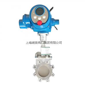 PZ973W-10P DN300电动对夹式刀型闸阀