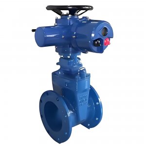 上海彩神购彩购彩大厅电动不锈钢闸阀100-z945w-16p