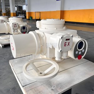 阀门电动装置dzw90-24选型手册及调试视频