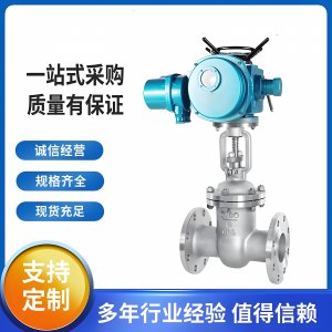 Z941W-16P不锈钢电动闸阀dn50价格