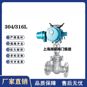 Z941W-16P，DN250，CF8/F304不锈钢电动闸阀